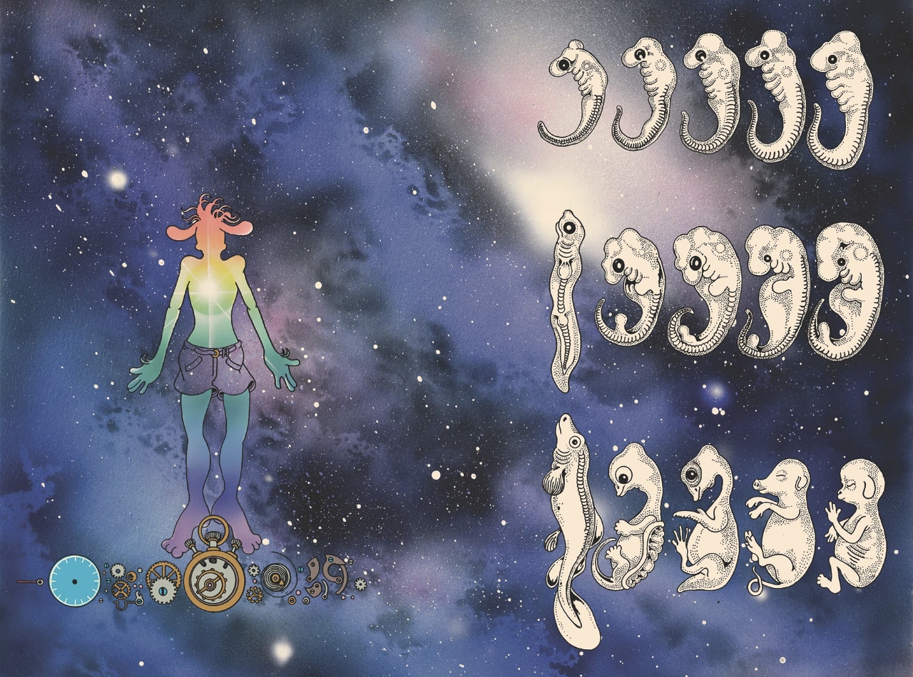 The cover picture of the next content